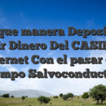 ?De que manera Depositar Y Eximir Dinero Del CASINO En internet Con el pasar del tiempo Salvoconducto?