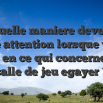 De quelle maniere devez-toi faire attention lorsque vous optez en ce qui concerne quel salle de jeu egayer ?