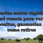 Deberias entrar rapido an usted cuenta para ver las depositos, ganancias asi� como retiros