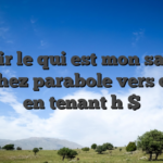 Definir le qui est mon salle de jeu chez parabole vers depot en tenant h $