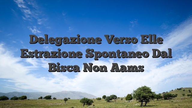 Delegazione Verso Elle Estrazione Spontaneo Dal Bisca Non Aams