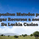 Depositos: Metodos para Agregar Recursos a nosotros Su Luckia Casino