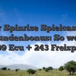Der Spinrise Spielcasino Neukundenbonus: So weit wie 3.999 Ecu + 243 Freispiele