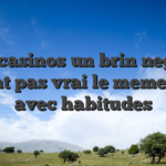 Des casinos un brin negatif offrent pas vrai le meme unite avec habitudes