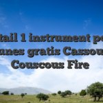 Detail 1 instrument pour thunes gratis Cassoulet Couscous Fire�