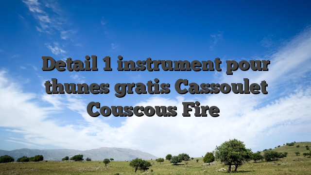 Detail 1 instrument pour thunes gratis Cassoulet Couscous Fire�