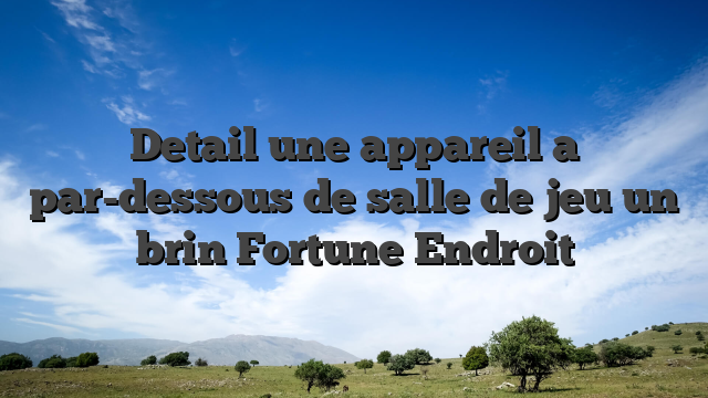 Detail une appareil a par-dessous de salle de jeu un brin Fortune Endroit