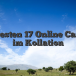 Die besten 17 Online Casinos im Kollation