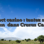 Direct casino : tentez sans aucun   dans Cresus Casino