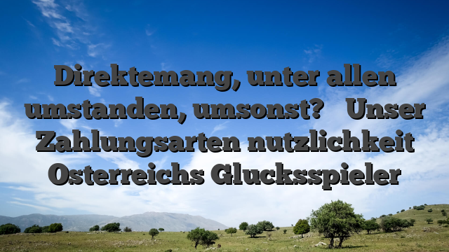 Direktemang, unter allen umstanden, umsonst? � Unser Zahlungsarten nutzlichkeit Osterreichs Glucksspieler