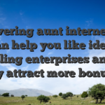 Discovering aunt internet sites can help you like ideal gambling enterprises and you may attract more bonuses