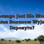 Dlaczego Jest Sie Musze Rowniez Bonusow Wyjawszy Depozytu?