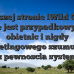 Do naszej stronie iWild Casino nie jest przypadkowych obietnic i nigdy marketingowego szumu � jest z pewnoscia system