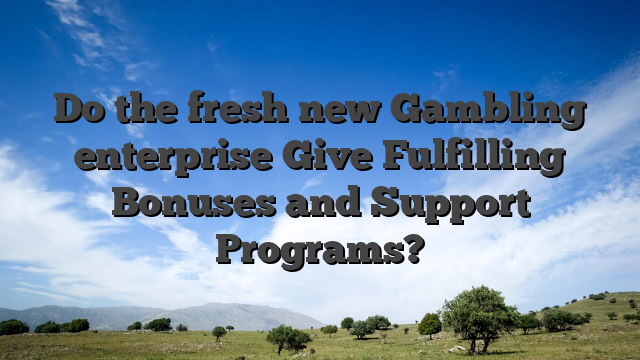 Do the fresh new Gambling enterprise Give Fulfilling Bonuses and Support Programs?