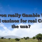 Do you really Gamble Web based casinos for real Cash in the usa?