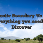 Domestic Boundary Vs RTP: Everything you need to Discover