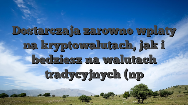 Dostarczaja zarowno wplaty na kryptowalutach, jak i bedziesz na walutach tradycyjnych (np
