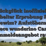 Drückglück inoffizieller mitarbeiter Erprobung Seriös und Gewiss? Aufstöbern Diese parece wunderino Casino -Anmeldeangebot raus!