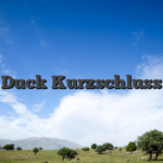 Duck Kurzschluss