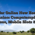 Dunder Online New Zealand Casino: Computerspiel, Bonuses, Mobile Slots & App