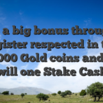 Earn a big bonus through to register respected in the ten,000 Gold coins and you will one Stake Cash
