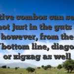 Effective combos can seem to be not just in the guts line however, from the best/bottom line, diagonally or zigzag as well