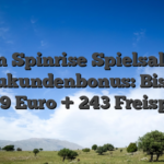 Ein Spinrise Spielsalon Neukundenbonus: Bis zu 5.999 Euro + 243 Freispiele