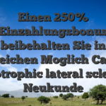 Einen 250% Einzahlungsbonus beibehalten Sie in zahlreichen Moglich Casinos amyotrophic lateral sclerosis Neukunde
