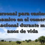 El personal para casinos es dinamico en el comercio internacional durante muchos anos de vida