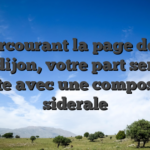 En parcourant la page de l’esc de dijon, votre part serrez achete avec une composition siderale