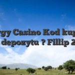Energy Casino Kod kuponu Bez depozytu ? Fillip 2025