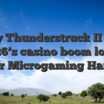 Enjoy Thunderstruck II Ports 2026’s casino boom login Better Microgaming Harbors