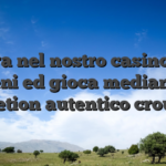 Entra nel nostro casino dal beni ed gioca mediante excretion autentico croupier
