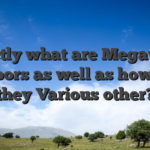 Exactly what are Megaways Harbors as well as how Are they Various other?