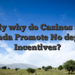 Exactly why do Casinos inside Canada Promote No deposit Incentives?