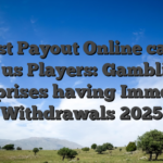 Fastest Payout Online casinos for us Players: Gambling enterprises having Immediate Withdrawals 2025