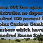 Finest 500 free spins on registration no deposit a hundred 100 percent free Spins Casinos Gamble Harbors which have a hundred Bonus Spins