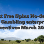 Finest Free Spins No-deposit Us Gambling enterprise Incentives March 2026
