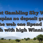 Finest Gambling Sky Vegas free spins no deposit games On the web one Spend Real cash with high Winnings