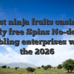 Finest ninja fruits casino 50 Totally free Spins No-deposit Gambling enterprises within the 2026