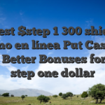 Finest $step 1 300 shields casino en línea Put Casinos 2026 Better Bonuses for only step one dollar