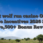 Finest wolf run casino On-line casino Incentives 2026 Score cuatro,500+ Bonus Revolves