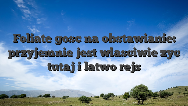 Foliate gosc na obstawianie: przyjemnie jest wlasciwie zyc tutaj i latwo rejs