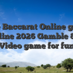 Free Baccarat Online game Online 2026 Gamble 80+ Video game for fun