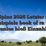 Free Spins 2026 Letzter schrei 60 Freispiele book of ra tricks kostenlos bloß Einzahlung