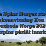 Free Spins Norges største bruksanvisning Xon bet bonuskode Norge 2025 på freespins påslåt innskudd