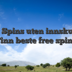 Free Spins uten innskudd ? Finn beste free spins