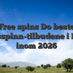 Free spins Do beste gratisspinn-tilbudene i Norge inom 2026