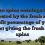 Free spins earnings are affected by the fresh new profit percentage of your agent giving the fresh free spins