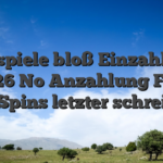 Freispiele bloß Einzahlung 2026 No Anzahlung Free Spins letzter schrei